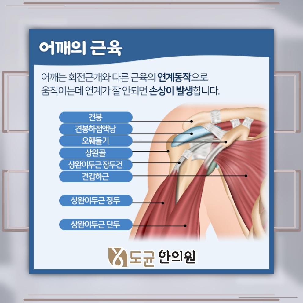 어깨 움직임을 방해하는 근육과 인대 손상, 충돌증후군