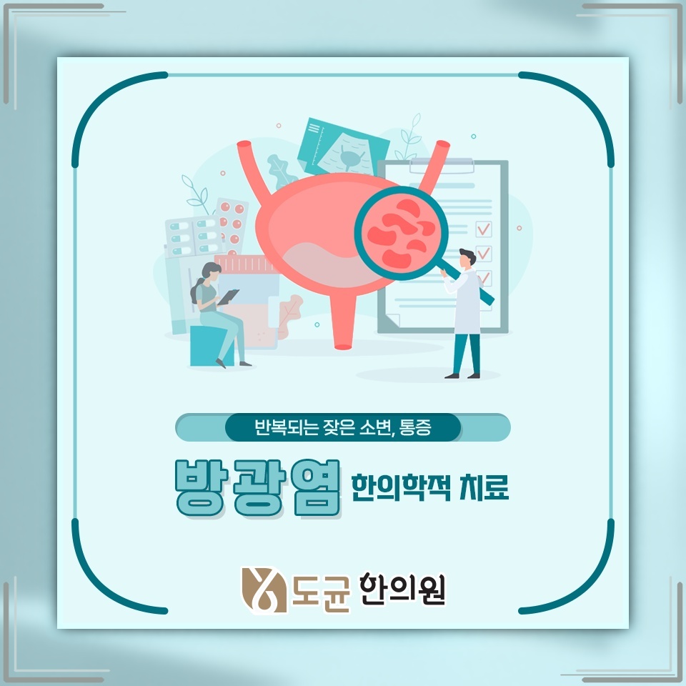 반복되는 방광염을 줄이기 위한 원인 점검과 생활 관리