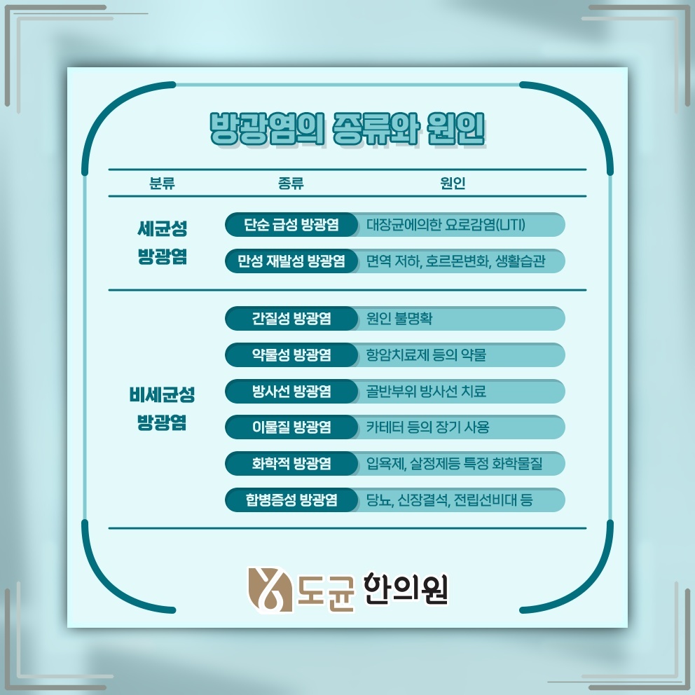 반복되는 방광염을 줄이기 위한 원인 점검과 생활 관리