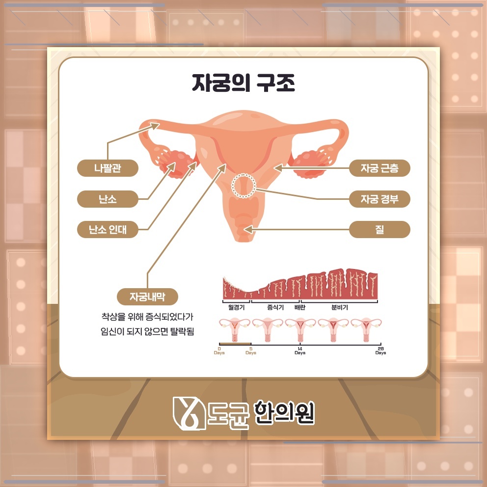 생리통으로 힘들 때 함께 나타날 수 있는 증상들