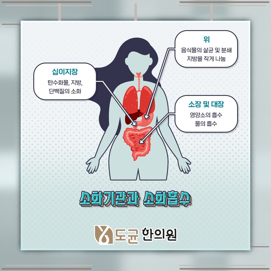 반복되는 증상으로 관리가 까다로운 과민성대장증후군