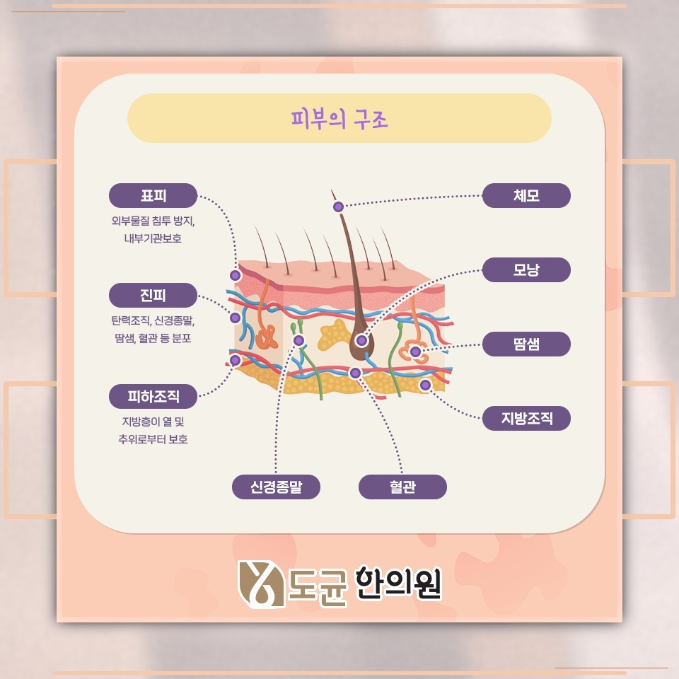 뚜렷한 원인 없이 이어지는 만성 두드러기, 관리의 방향